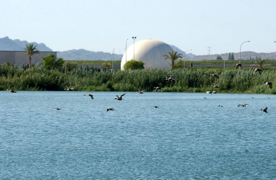 Los 53 humedales de la Región se incorporan al inventario nacional que impulsa el Ministerio para la Transición Ecológica