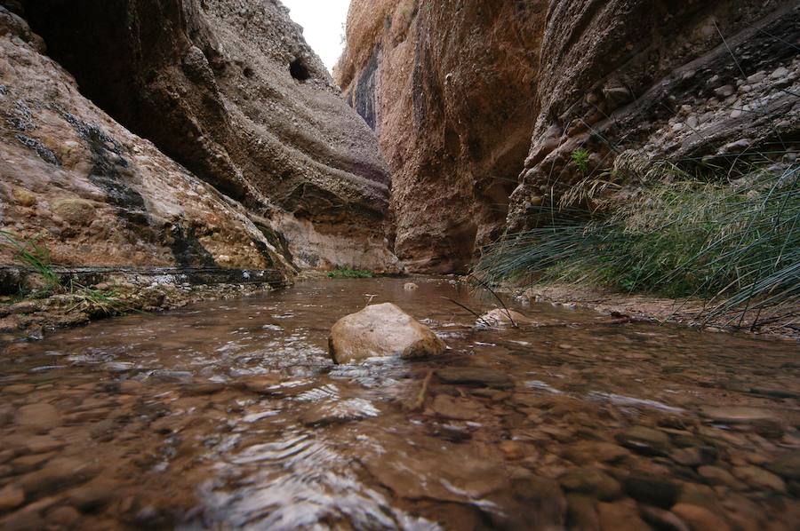 Los 53 humedales de la Región se incorporan al inventario nacional que impulsa el Ministerio para la Transición Ecológica