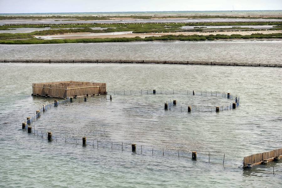 Los 53 humedales de la Región se incorporan al inventario nacional que impulsa el Ministerio para la Transición Ecológica