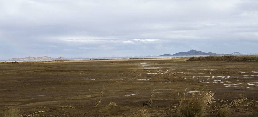 Los 53 humedales de la Región se incorporan al inventario nacional que impulsa el Ministerio para la Transición Ecológica