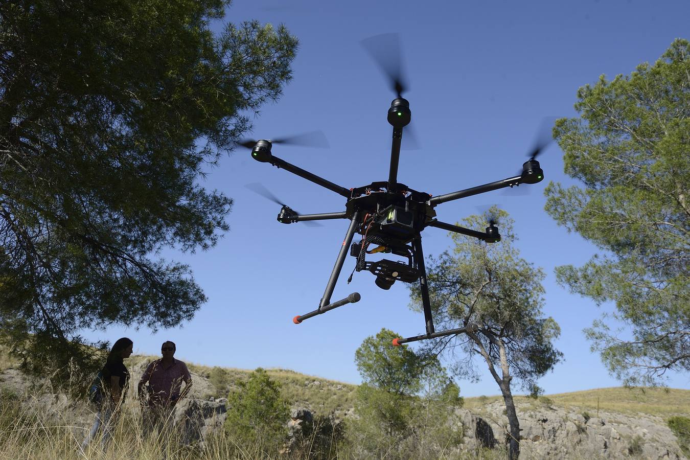 Geofísica, genética, paleobotánica y zoología ayudan a profundizar en el conocimiento de los orígenes del hombre.