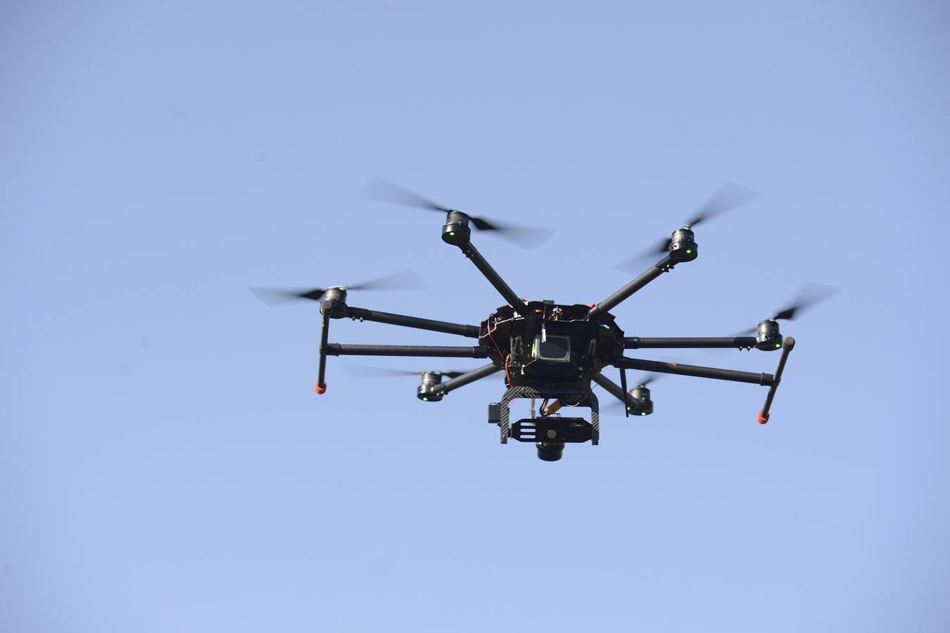 Geofísica, genética, paleobotánica y zoología ayudan a profundizar en el conocimiento de los orígenes del hombre.