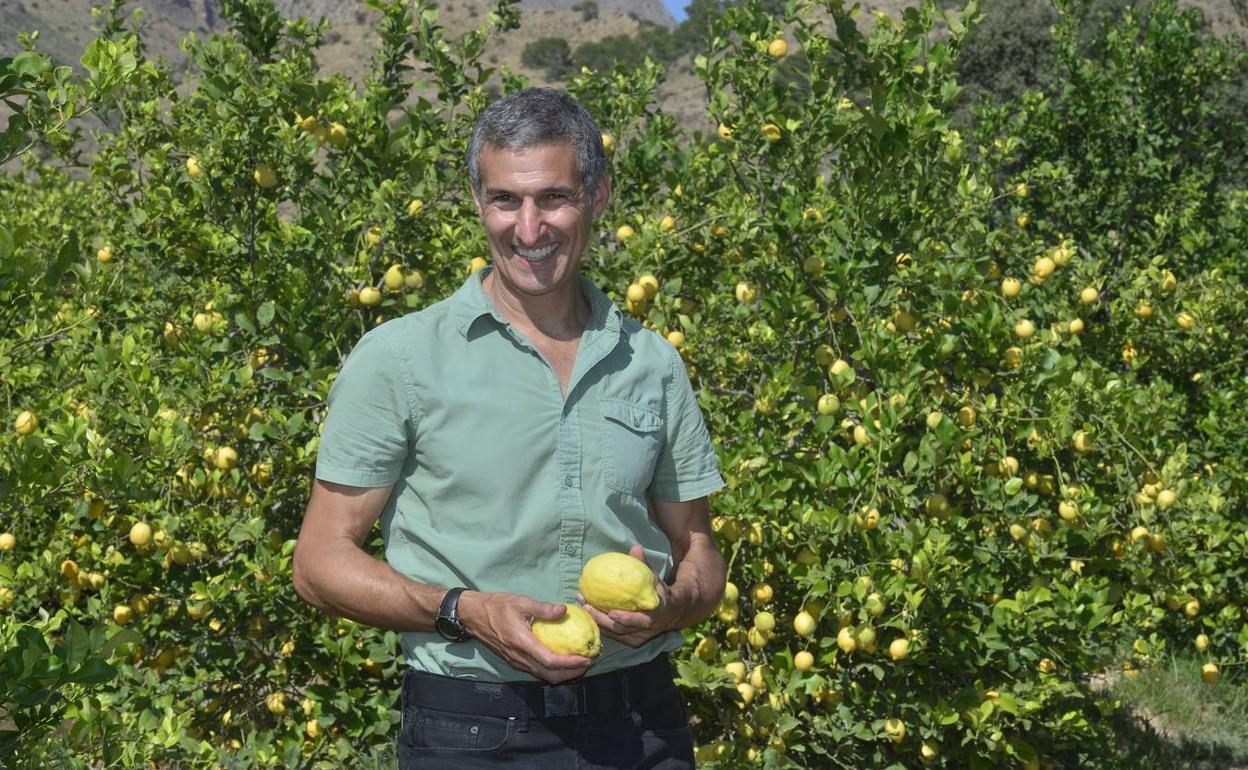 Seth Goldman conoce el cultivo de limones en Santomera. 