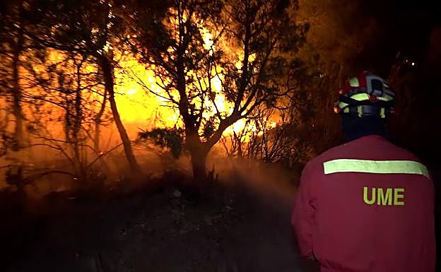 Un soldado de la UME, durante la extinción del fuego de la Ribera del Ebro.