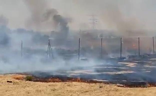 Los matorrales ardiendo en Sangonera la Verde.