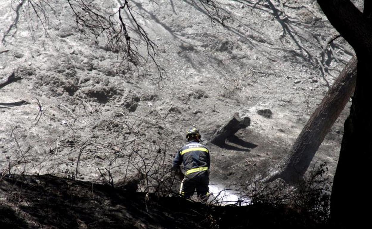 Uno de los bomberos trabaja en el incendio forestal en Ceuta. 