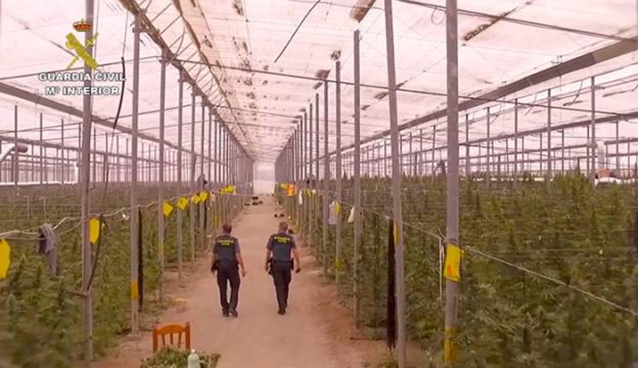 Dos agentes, en una de las plantaciones halladas.