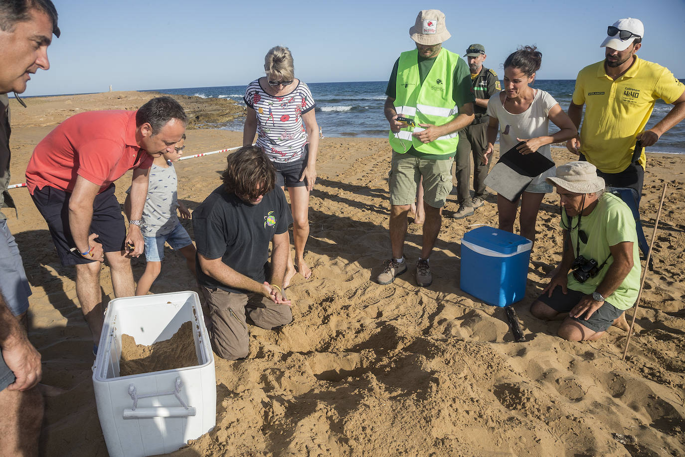 Medio Ambiente custodia en Cala Arturo el primer anidamiento de esta especie en el litoral de la Región en más de cien años.