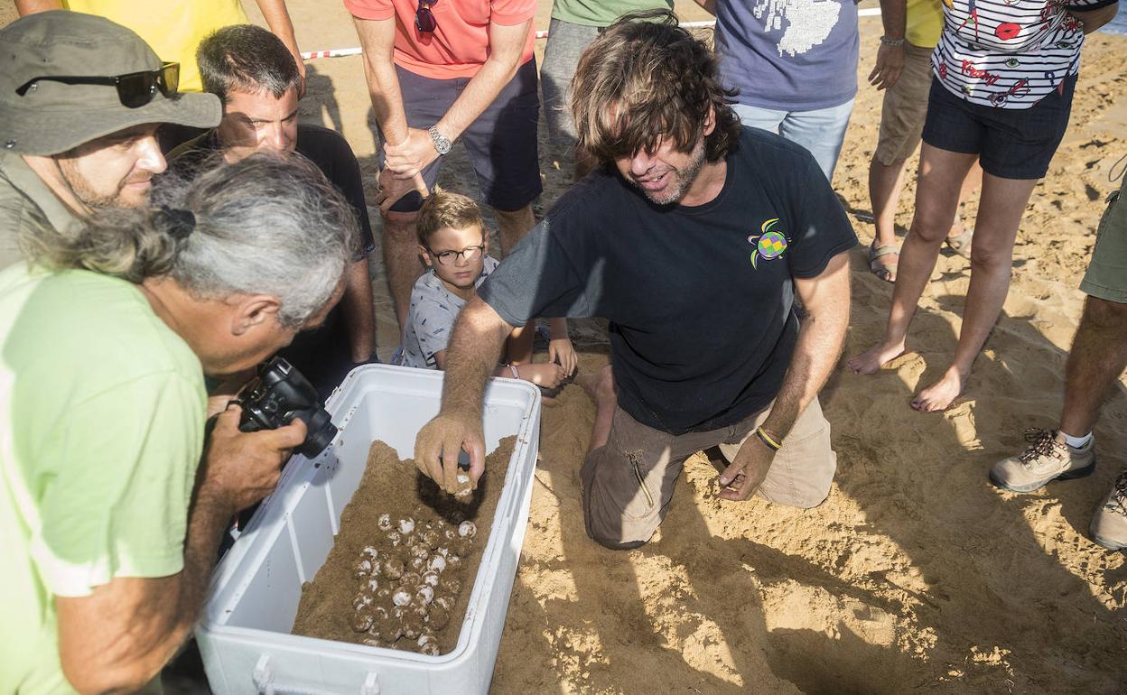 Un experto trabaja en la zona acordonada del anidamiento. 