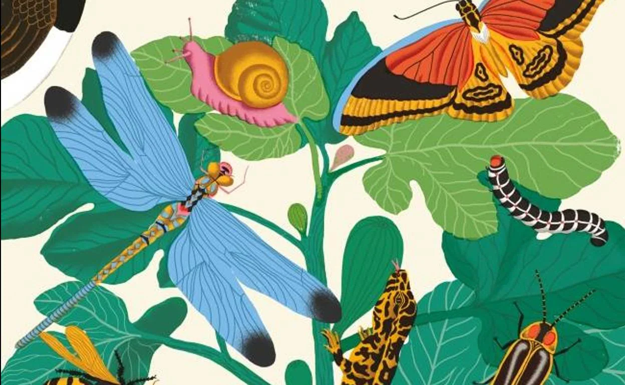 Imagen de la portada del libro 'El lenguaje secreto de la naturaleza'.