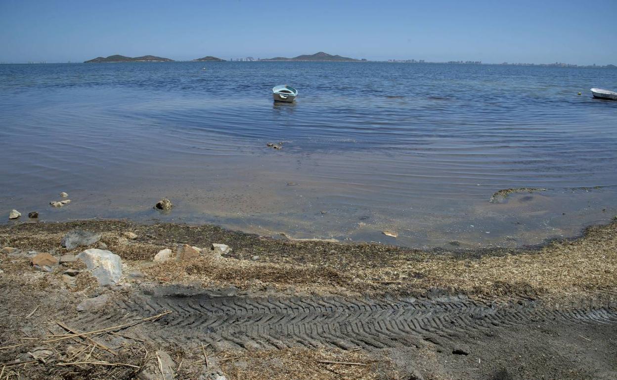 Restos de algas y fango invaden la playa de Los Urrutias en una imagen tomada al principio de este verano. 