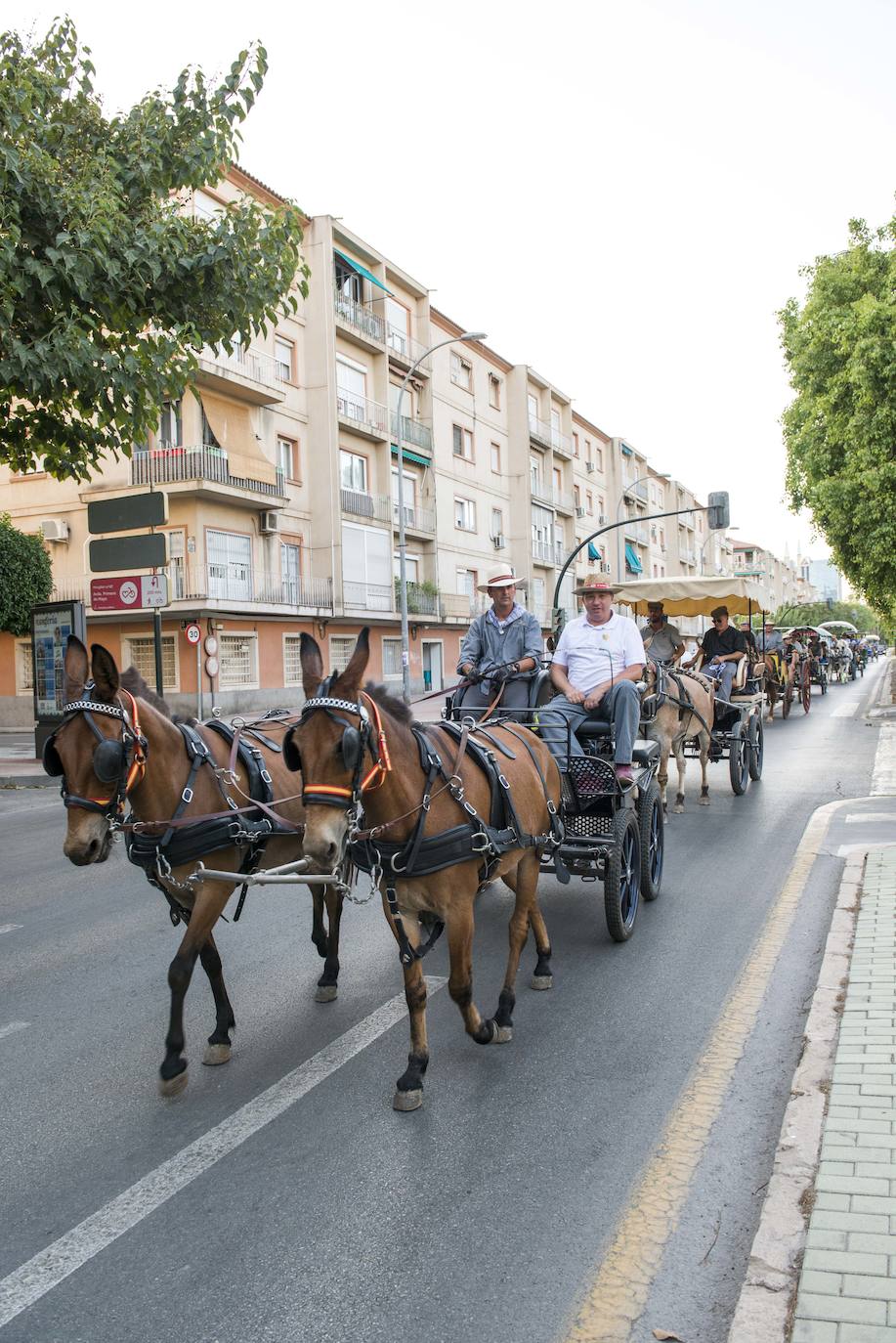 Más de cincuenta carros parten desde la Federación de Peñas Huertanas, en la avenida Primero de Mayo, con rumbo al paseo marítimo de Los Alcázares