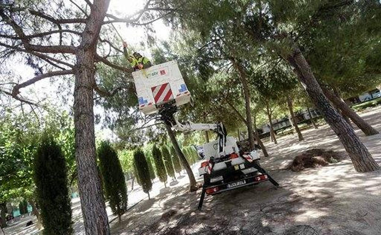 Un trabajador realiza una de las actuaciones en el jardín de La Seda, este miércoles.