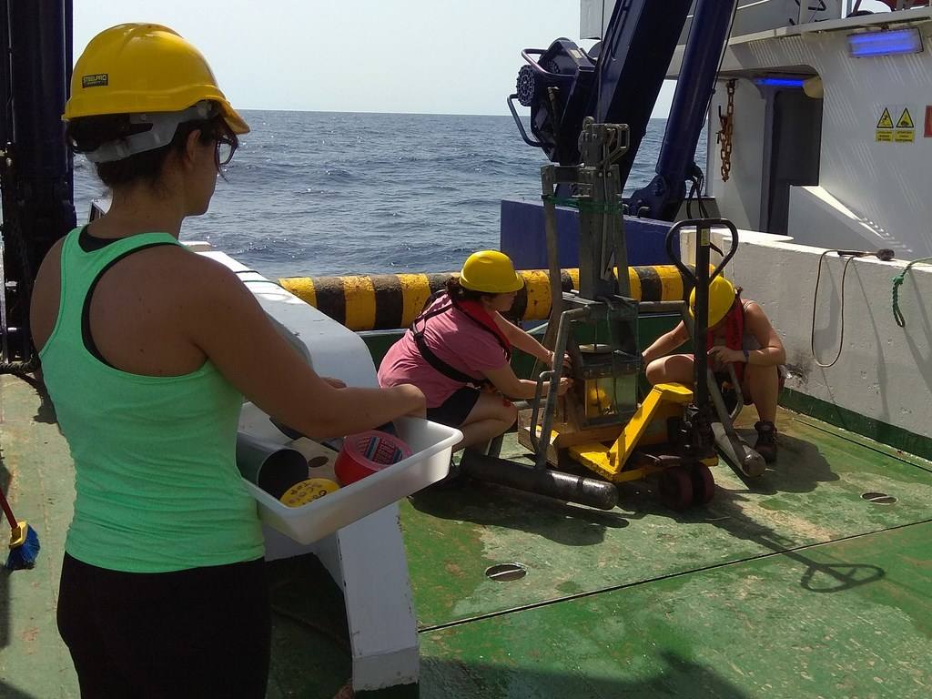 Científicos del IEO y de la Universidad de Alicante documentan la existencia de especies vulnerables en los montes submarinos de Torrevieja a Águilas para impulsar su protección