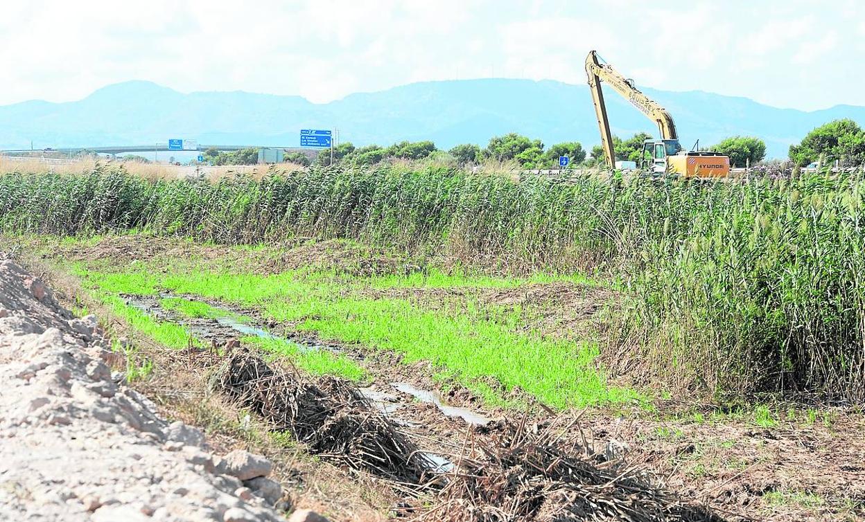 Limpieza preventiva en El Albujón