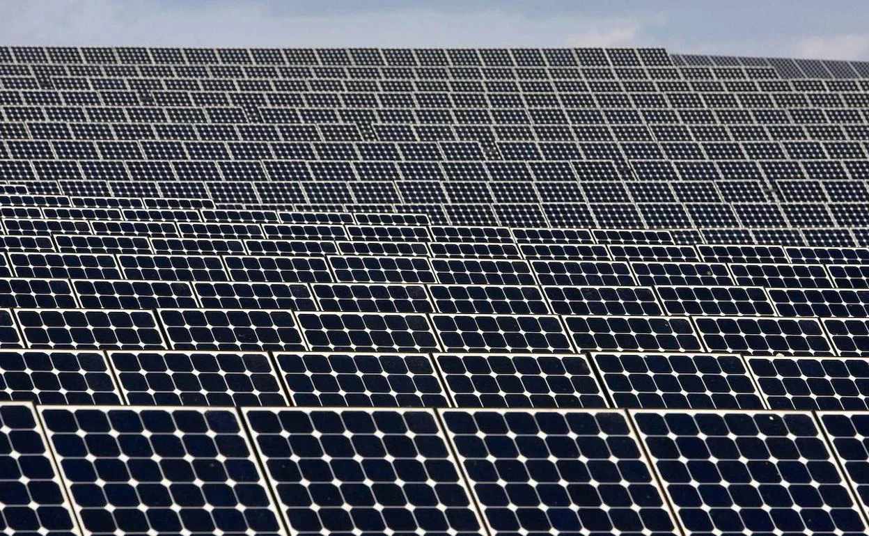 Paneles fotovoltaicos alineados en un parque de energía solar.