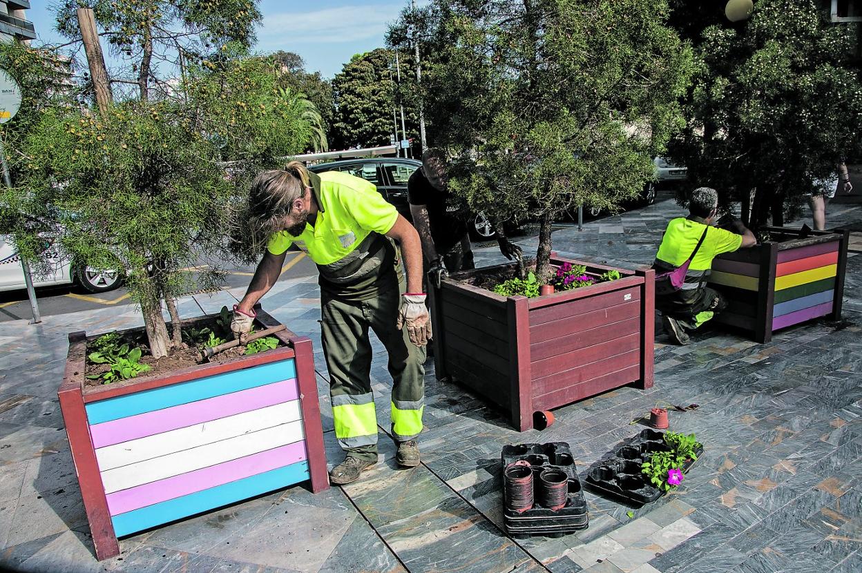 Dos jardineros preparan varios maceteros de la calle del Carmen, para colocar las plantas ornamentales.