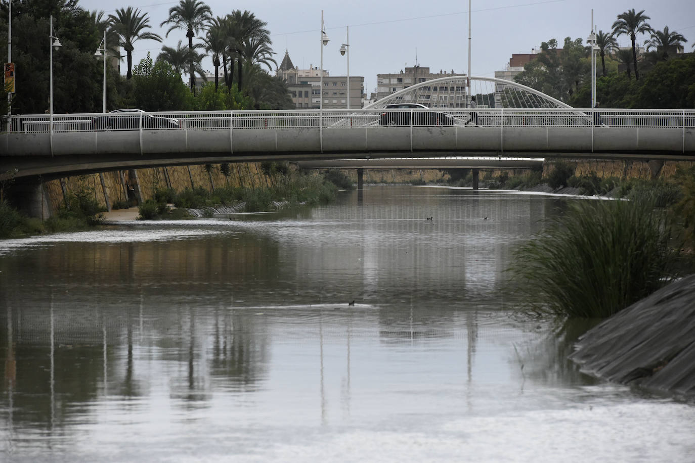 Ocho vías permanecen cortadas en pedanías de Lobosillo, Avileses, Cabezo de Torres y Torreagüera y en los barrios de Espinardo y Churra