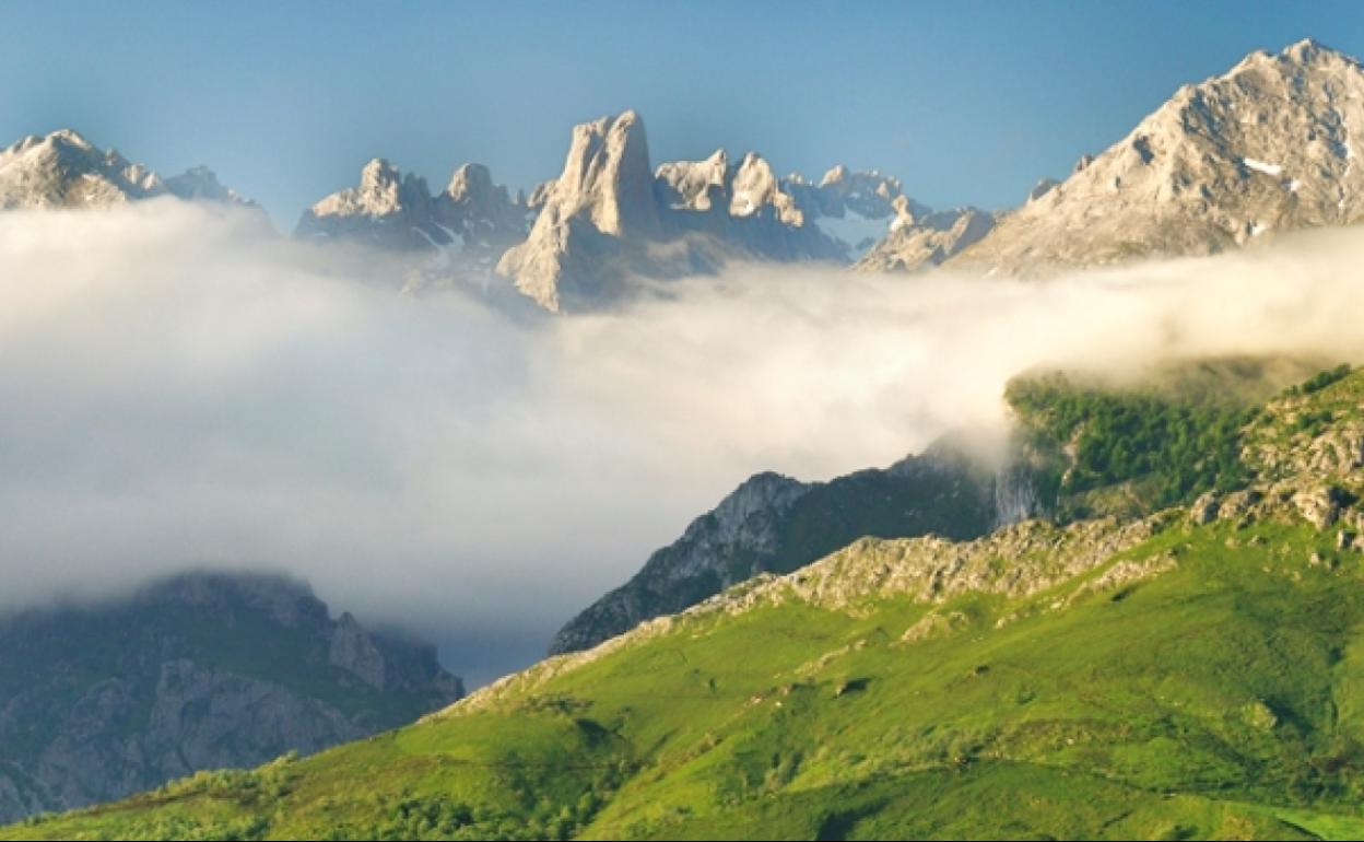 Cabrales. 