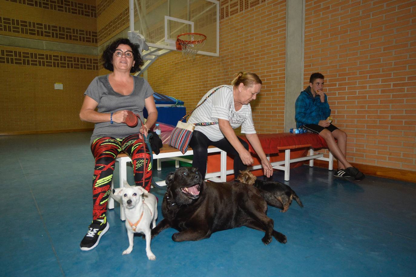 Una familia acude a un pabellón instalado para auxiliar a los afectados.