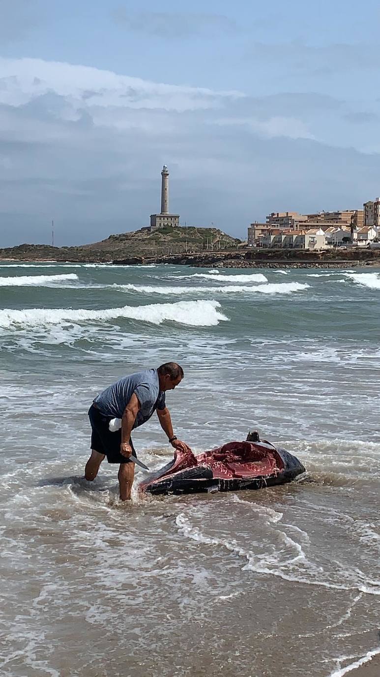 Salud advierte del riesgo de consumir estos animales, procedentes de un vivero situado en el Mediterráneo.