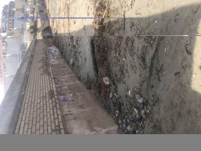 Salud advierte del riesgo de consumir estos animales, procedentes de un vivero situado en el Mediterráneo.