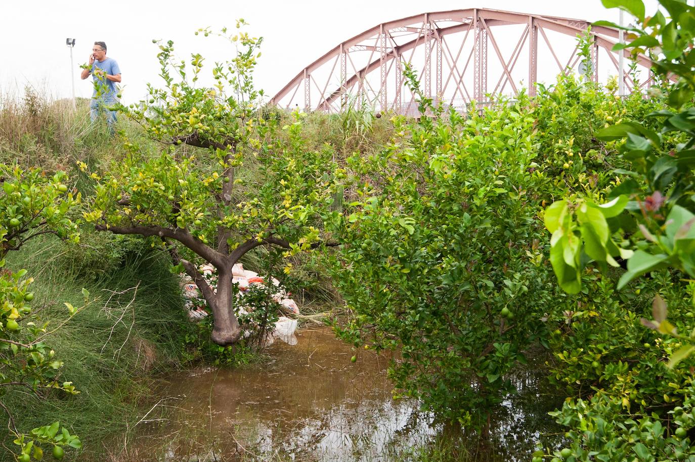 Recorrido por las localidades de Alquerías, Beniel y Llano de Brujas, donde el temporal causó cuantiosos destrozos