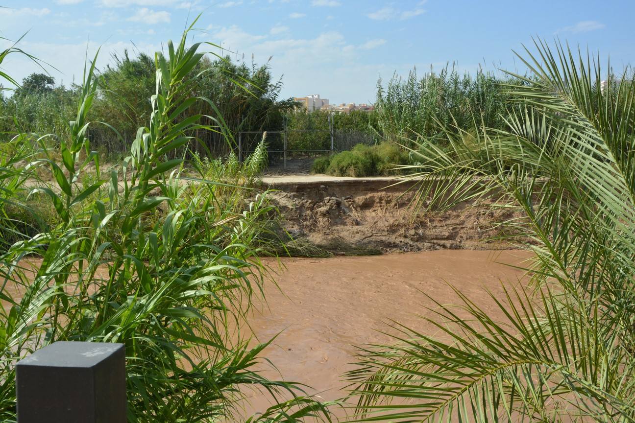 El Ayuntamiento de Cieza ha aprobado solicitar al Consejo de Ministros la declaración de su término Municipal así como del resto de municipios de la Región afectados, como zona afectada gravemente por una emergencia de protección civil.