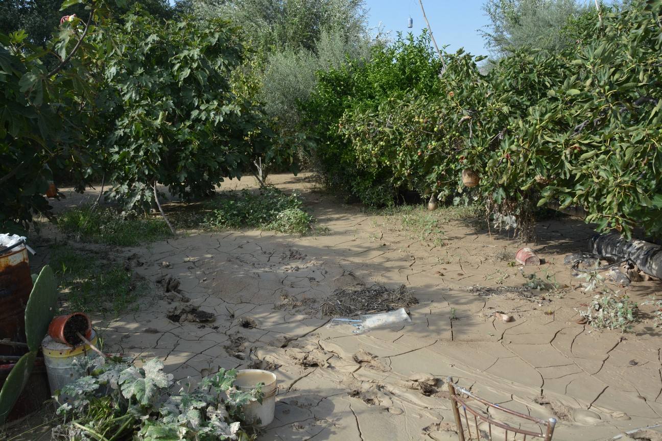 El Ayuntamiento de Cieza ha aprobado solicitar al Consejo de Ministros la declaración de su término Municipal así como del resto de municipios de la Región afectados, como zona afectada gravemente por una emergencia de protección civil.