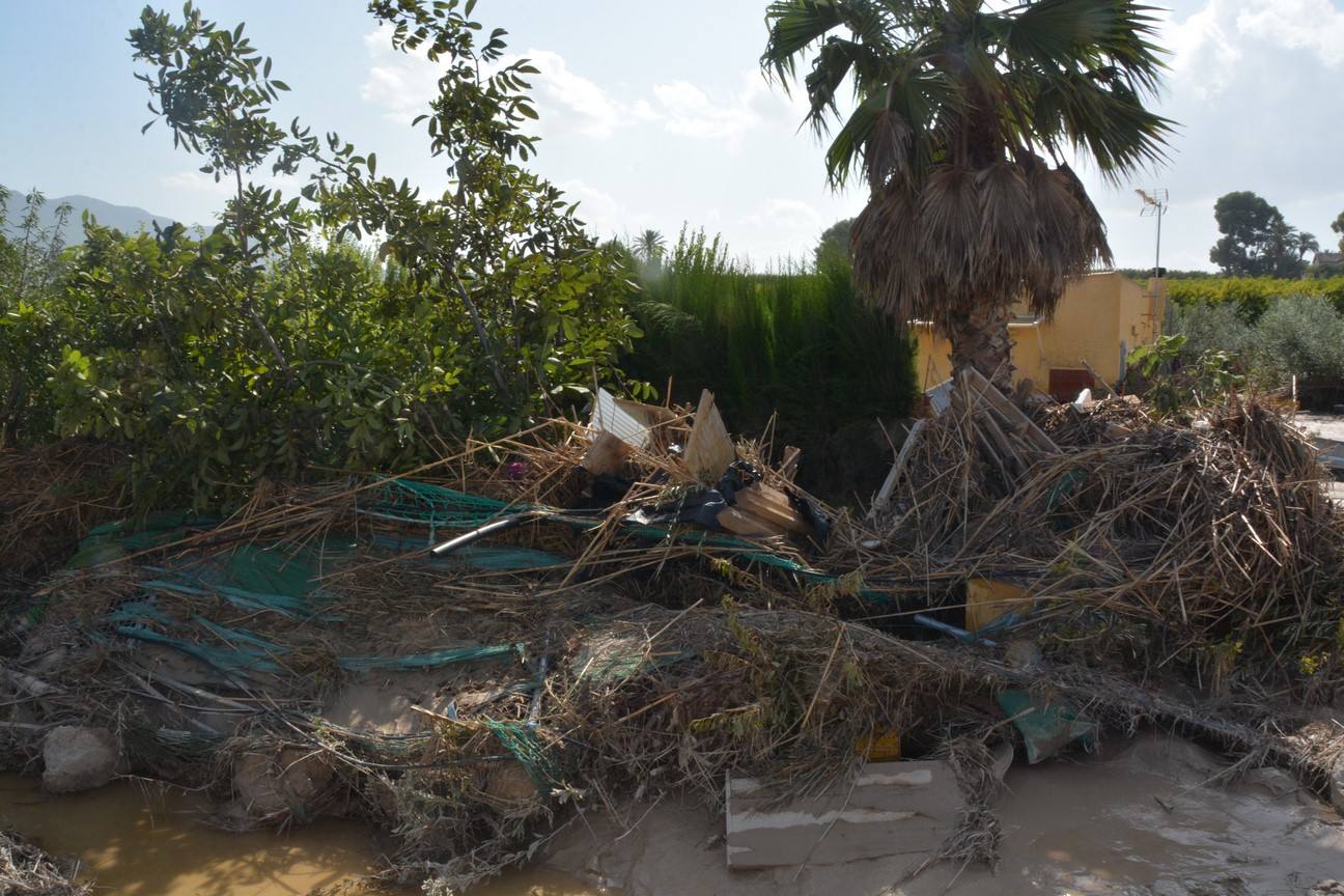 El Ayuntamiento de Cieza ha aprobado solicitar al Consejo de Ministros la declaración de su término Municipal así como del resto de municipios de la Región afectados, como zona afectada gravemente por una emergencia de protección civil.