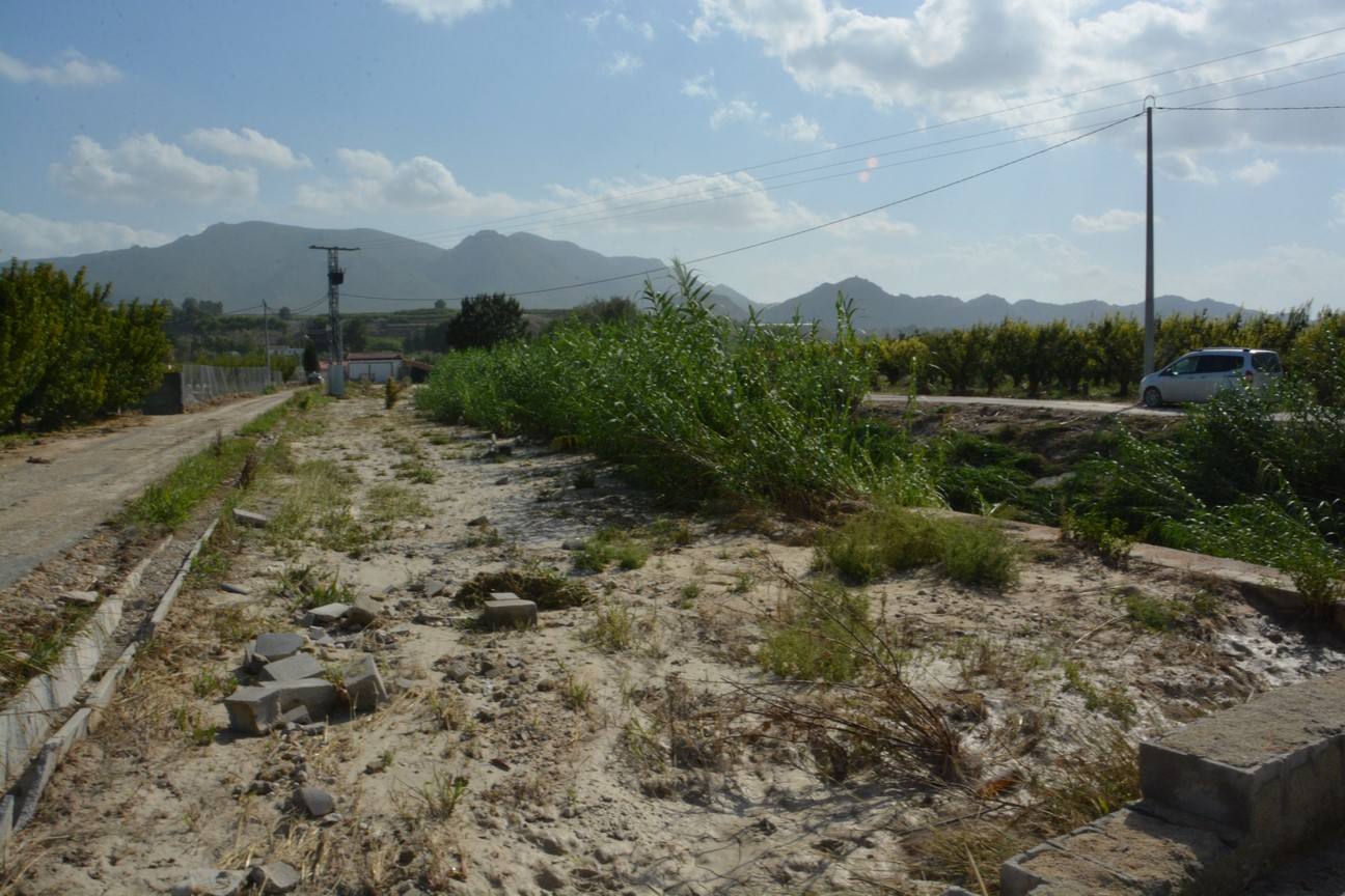 El Ayuntamiento de Cieza ha aprobado solicitar al Consejo de Ministros la declaración de su término Municipal así como del resto de municipios de la Región afectados, como zona afectada gravemente por una emergencia de protección civil.