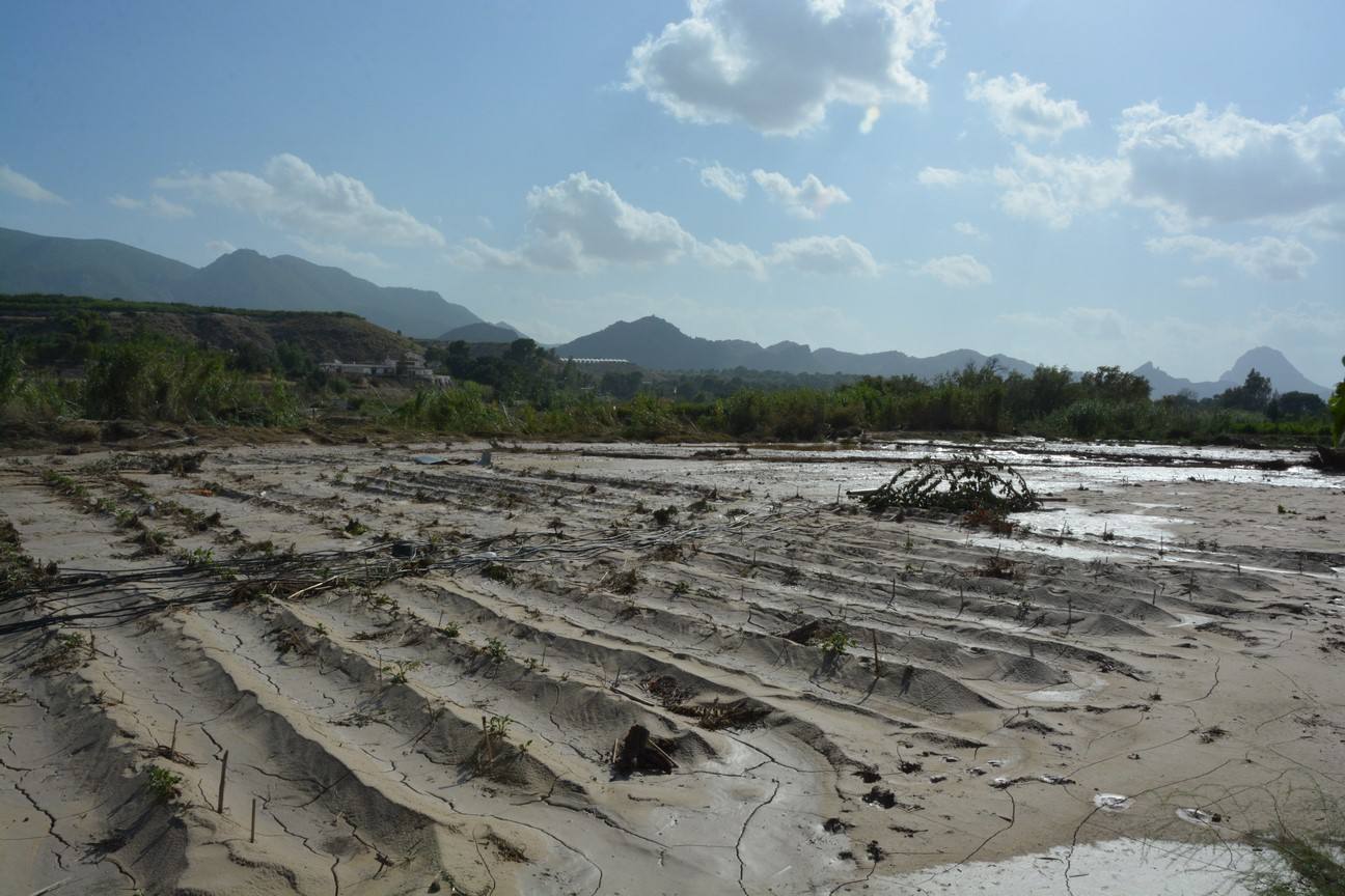 El Ayuntamiento de Cieza ha aprobado solicitar al Consejo de Ministros la declaración de su término Municipal así como del resto de municipios de la Región afectados, como zona afectada gravemente por una emergencia de protección civil.