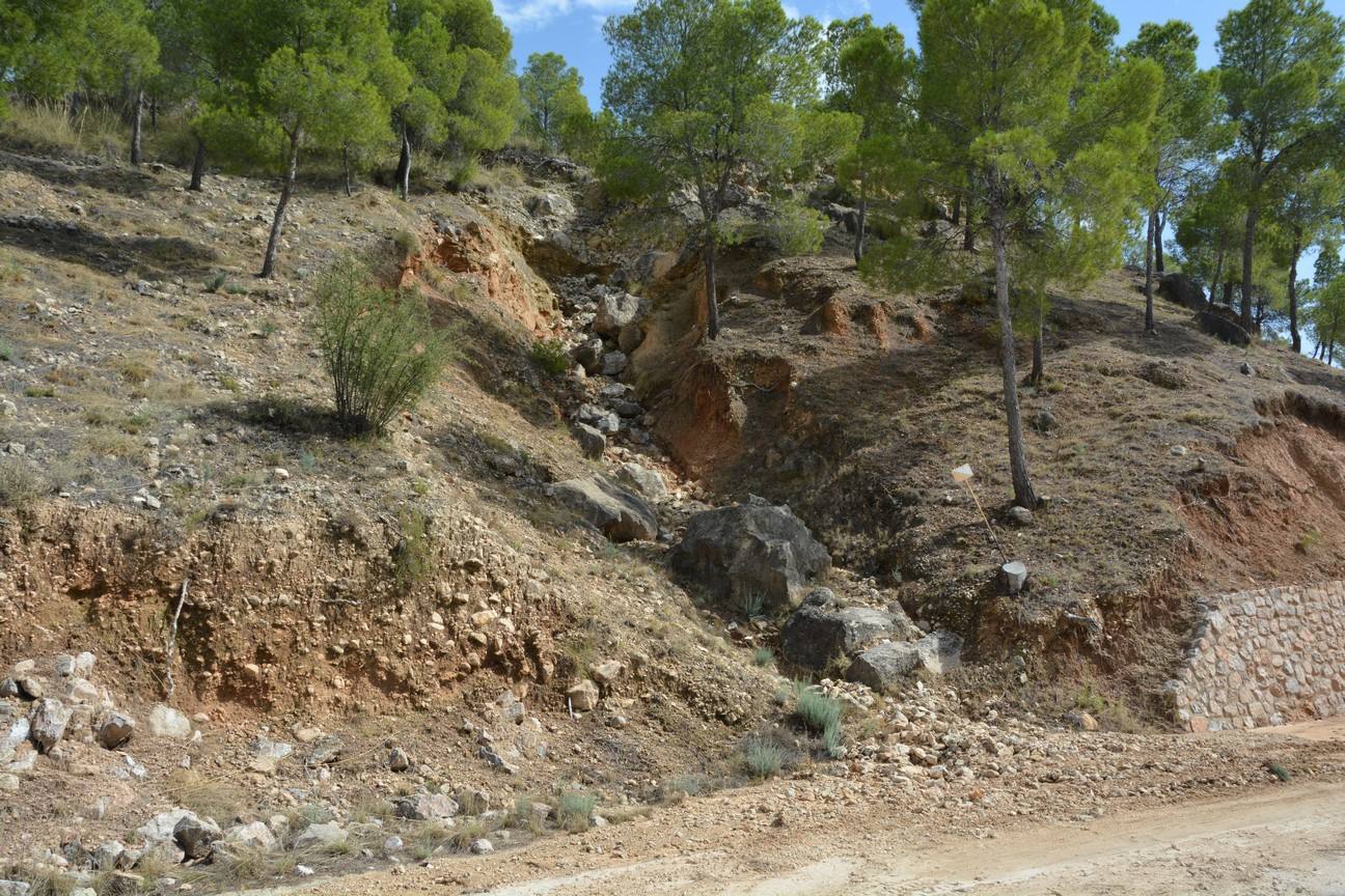El Ayuntamiento de Cieza ha aprobado solicitar al Consejo de Ministros la declaración de su término Municipal así como del resto de municipios de la Región afectados, como zona afectada gravemente por una emergencia de protección civil.
