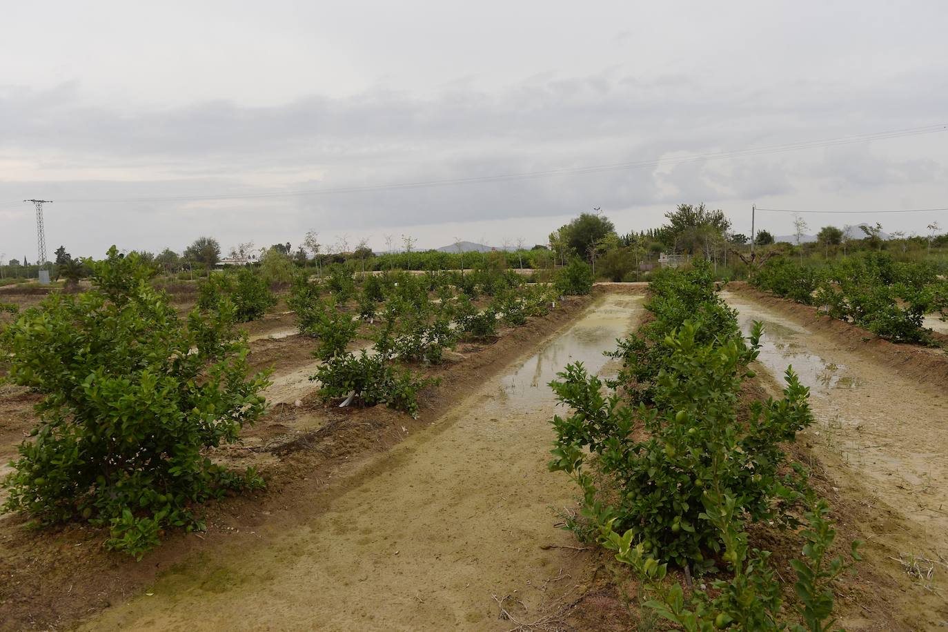 La Junta Municipal elabora un listado con las principales necesidades de cada zona para buscar las soluciones adecuadas junto al Ayuntamiento