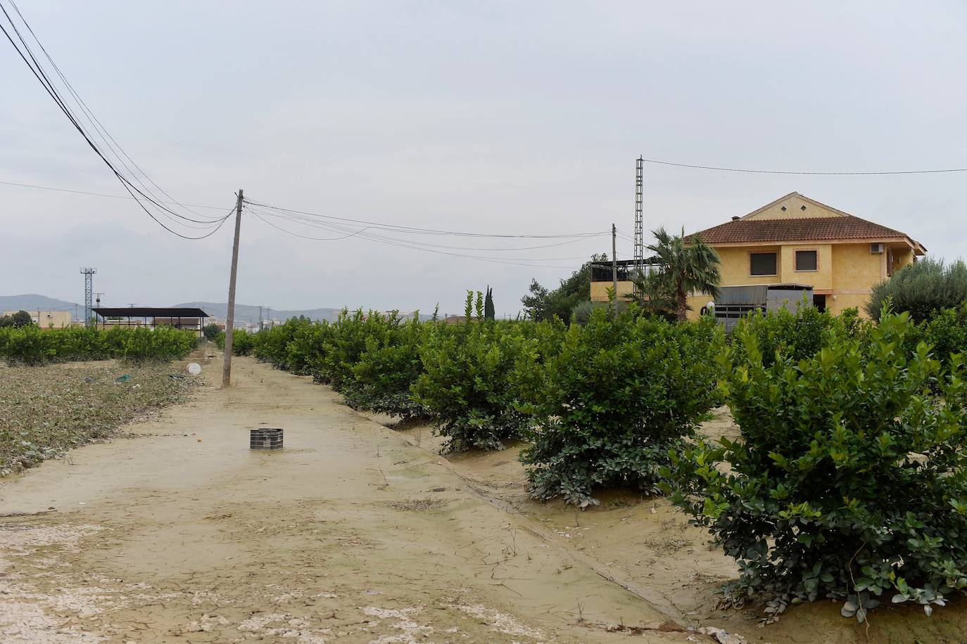 La Junta Municipal elabora un listado con las principales necesidades de cada zona para buscar las soluciones adecuadas junto al Ayuntamiento