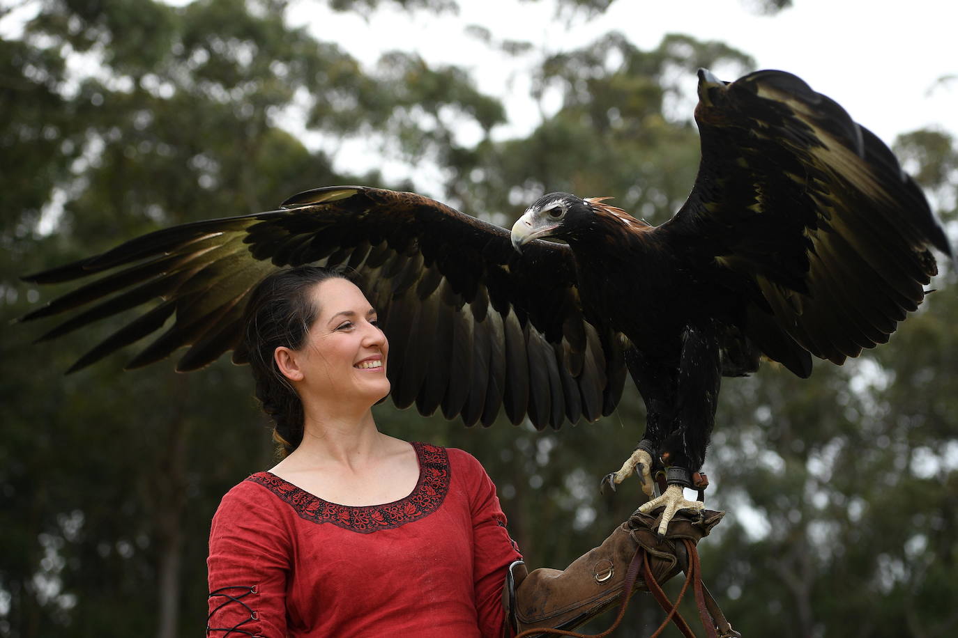 Varios caballeros compiten en la tradicional Feria Medieval de St Ives en Sídney, Australia.