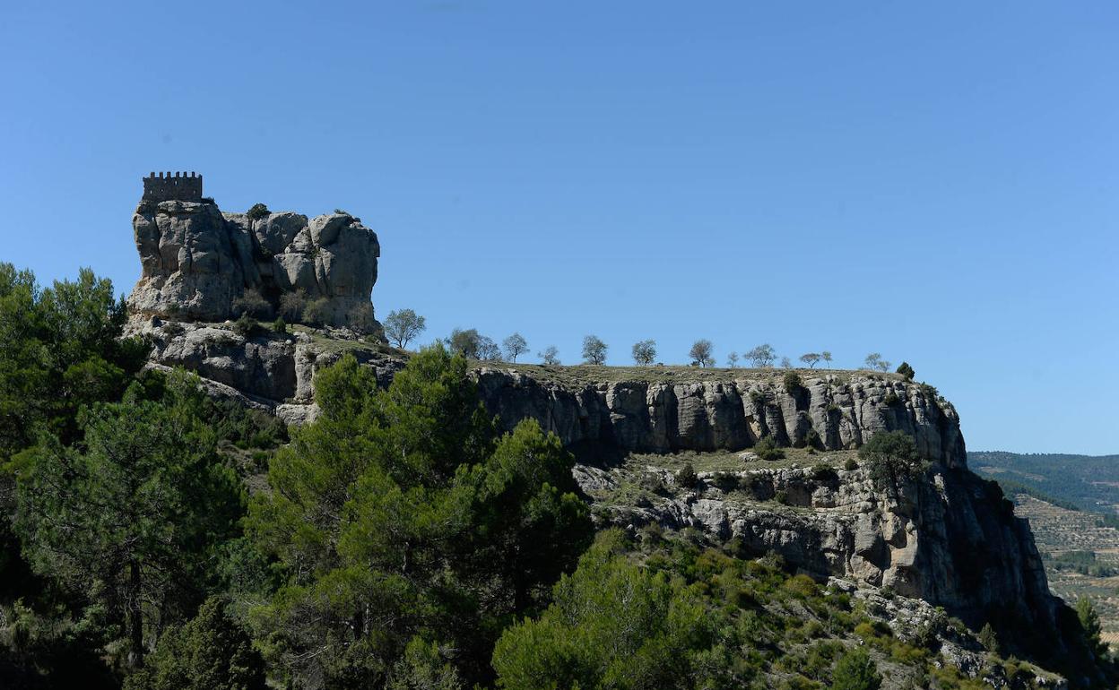 Vista del castillo de Benizar desde el flanco oeste, con la muela coronada por la torre del homenaje y los almendros sobre la meseta.