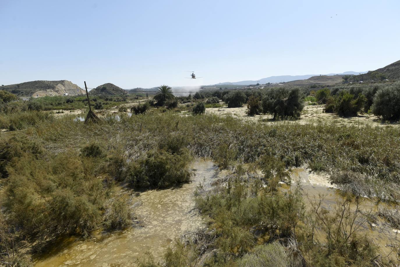 Según José Ballesta, «El Raal, Alquerías y Zeneta, así como el entorno del Segura y el Reguerón, están siendo las principales zonas de actuación»