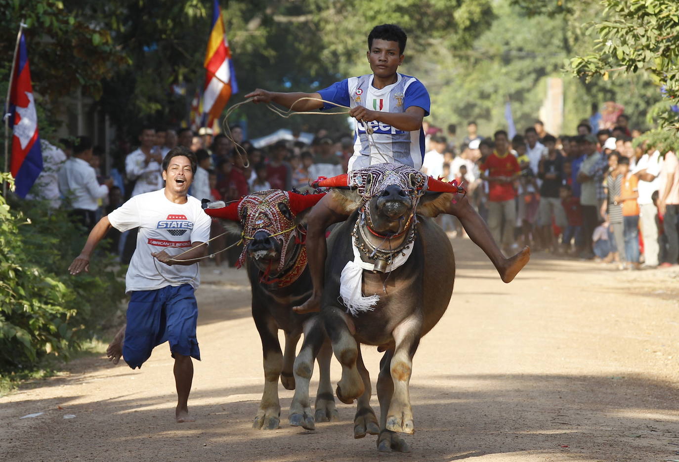 Varias personas participan en peleas y en carreras de búfalos y caballos organizadas con motivo de la culminación de la festividad de «Pchum Ben» o día de los ancestros, en la población de Sithor, Camboya.