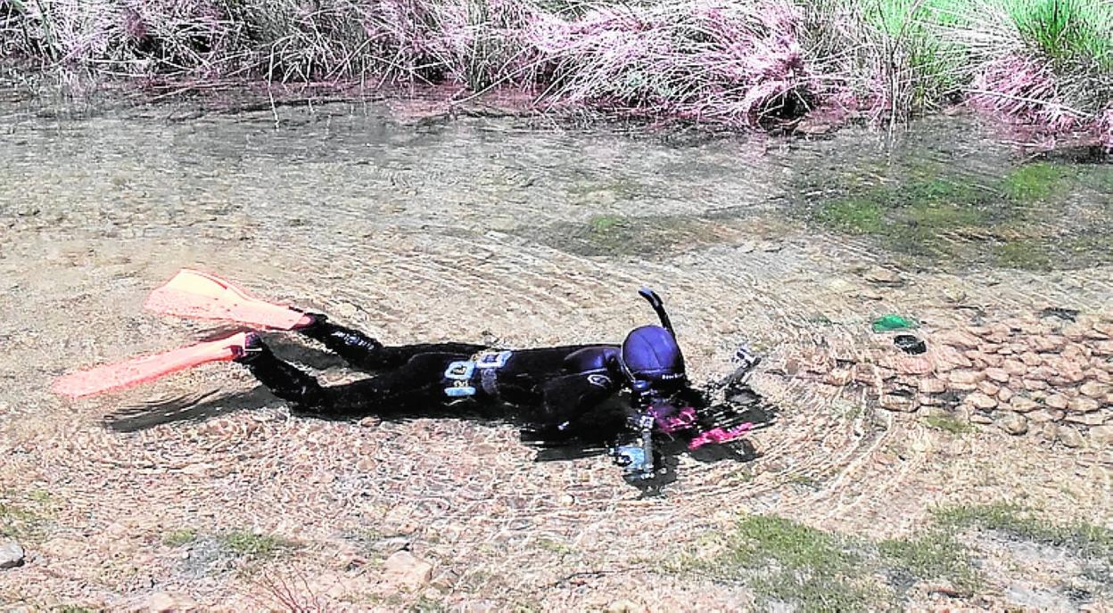 Javier Murcia fotografía la fauna en las RNF del Segura. 