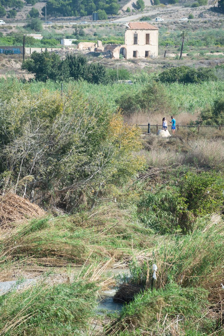 Este sábado comienzan las visitas de particulares y grupos organizados de distintos colectivos