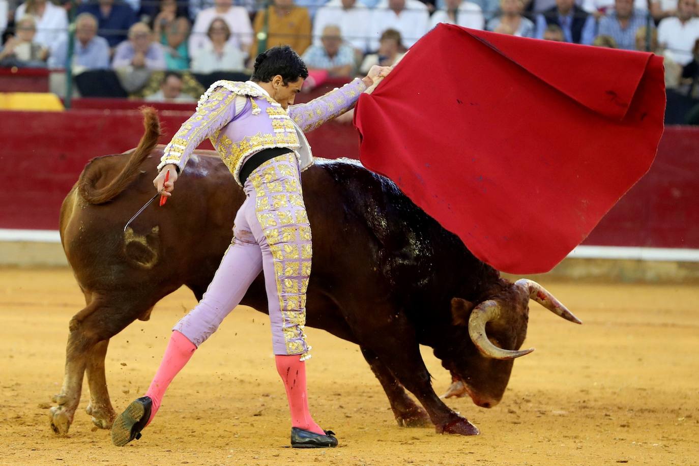 El torero lorquino perdió la puerta grande por el descabello en el séptimo festejo de la Feria del Pilar