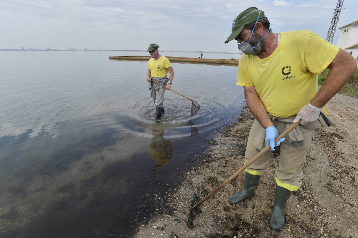 Siguen retirando peces muertos en San Pedro