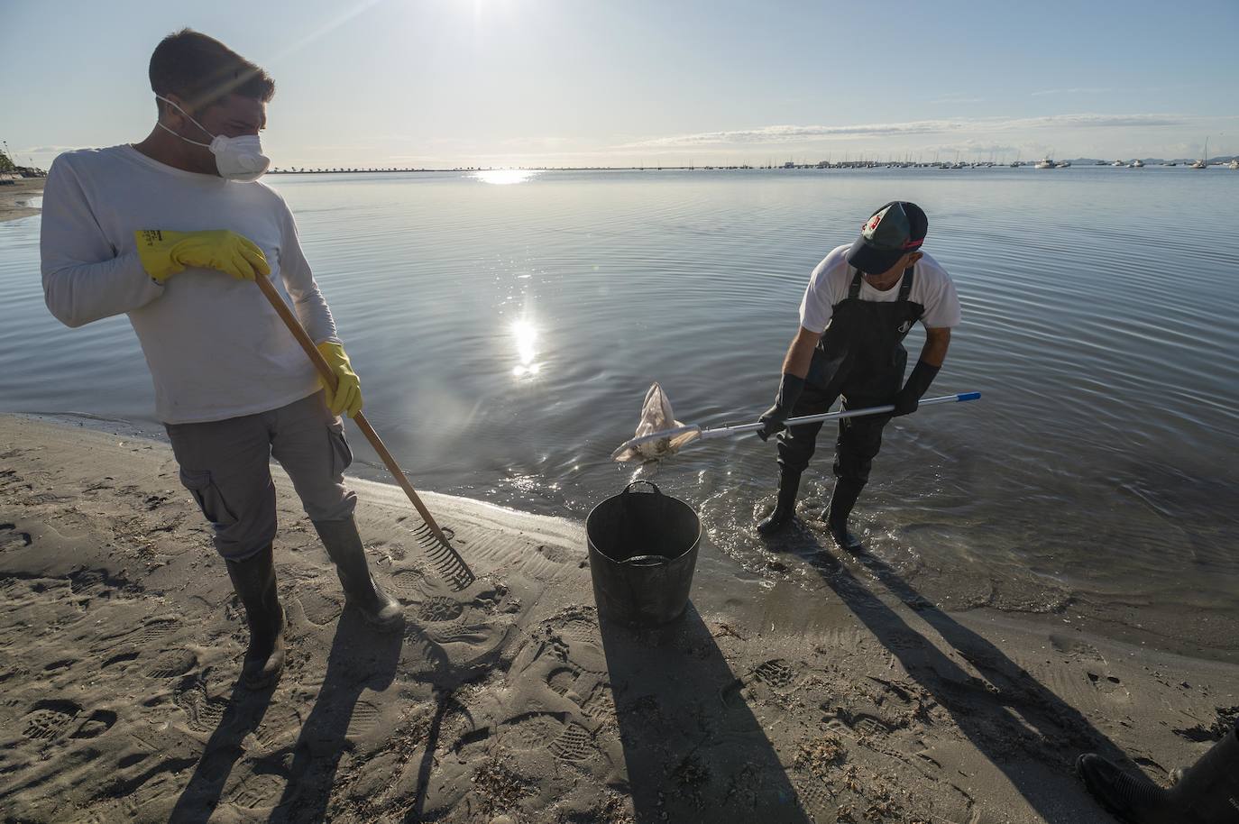 El portavoz del PP en la Asamblea Regional, Joaquín Segado, que consideró «injusto» responsabilizar al Gobierno regional de esta situación ya que son muchas las instituciones, dijo, que no han cumplido «estrictamente con su obligación»