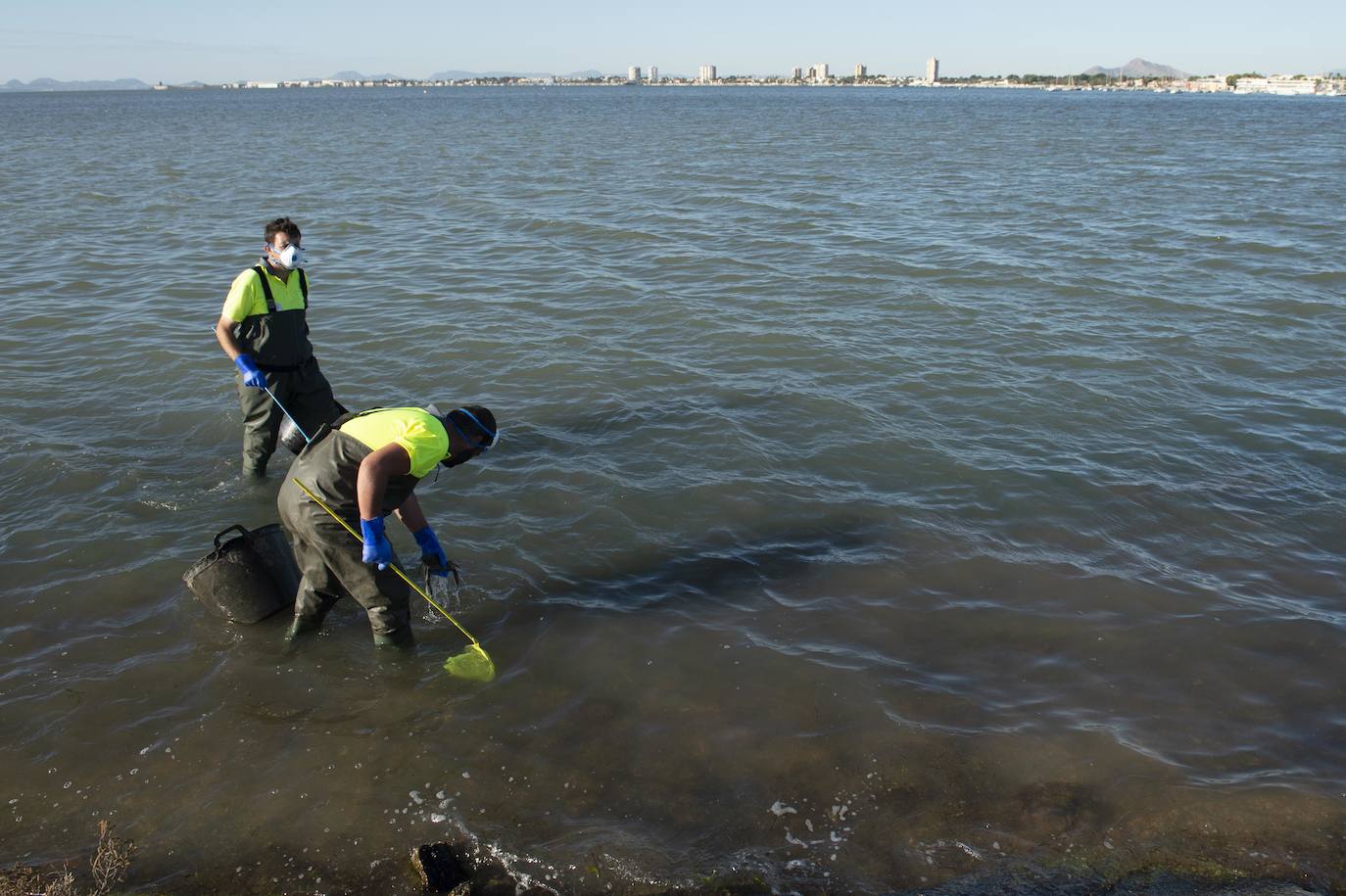 El portavoz del PP en la Asamblea Regional, Joaquín Segado, que consideró «injusto» responsabilizar al Gobierno regional de esta situación ya que son muchas las instituciones, dijo, que no han cumplido «estrictamente con su obligación»