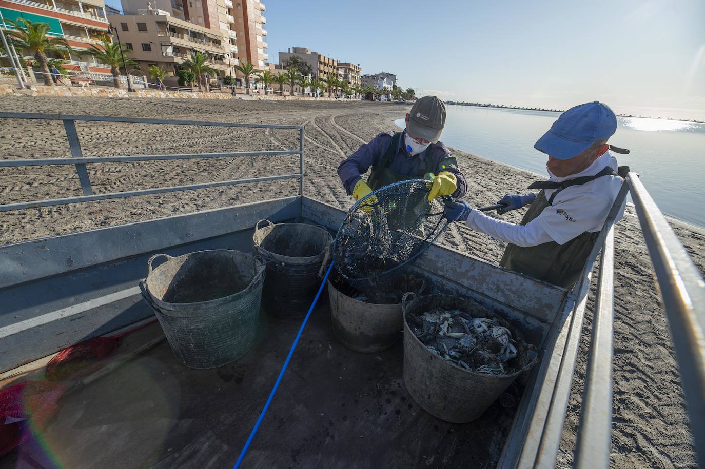 El portavoz del PP en la Asamblea Regional, Joaquín Segado, que consideró «injusto» responsabilizar al Gobierno regional de esta situación ya que son muchas las instituciones, dijo, que no han cumplido «estrictamente con su obligación»