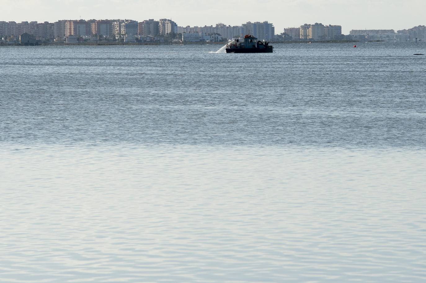 El portavoz del PP en la Asamblea Regional, Joaquín Segado, que consideró «injusto» responsabilizar al Gobierno regional de esta situación ya que son muchas las instituciones, dijo, que no han cumplido «estrictamente con su obligación»