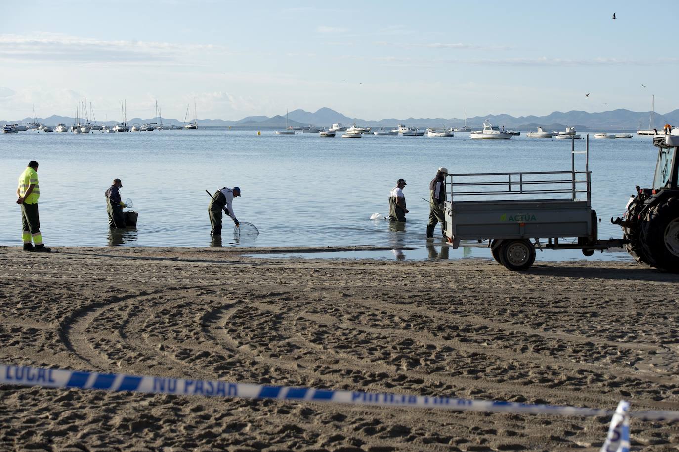 El portavoz del PP en la Asamblea Regional, Joaquín Segado, que consideró «injusto» responsabilizar al Gobierno regional de esta situación ya que son muchas las instituciones, dijo, que no han cumplido «estrictamente con su obligación»