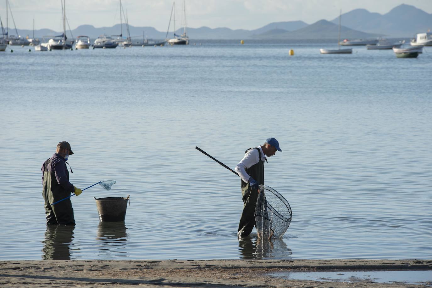 El portavoz del PP en la Asamblea Regional, Joaquín Segado, que consideró «injusto» responsabilizar al Gobierno regional de esta situación ya que son muchas las instituciones, dijo, que no han cumplido «estrictamente con su obligación»