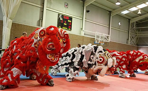 La representación de la danza del león chino.